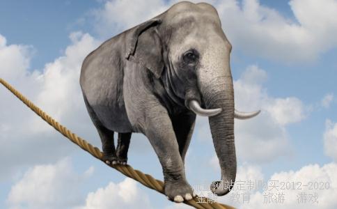 600272开开实业相关图片 600272开开实业相关图片