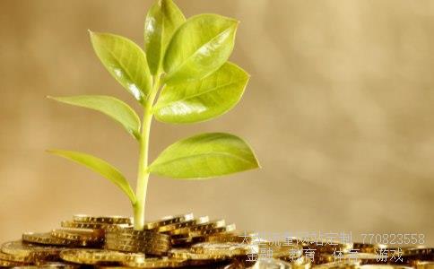 山寨股市相关图片