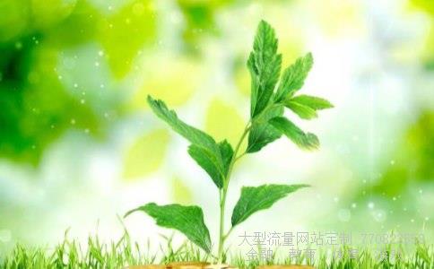 菲林格尔相关图片