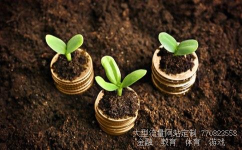 阳光凯迪新能源集团有限公司相关图片