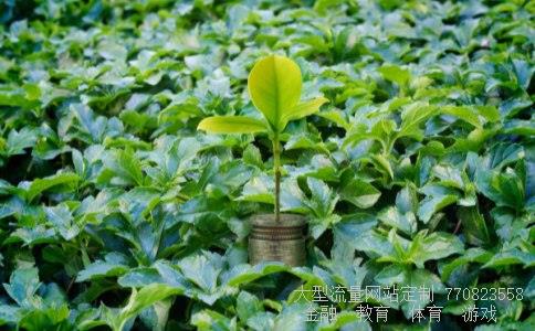 天津股侠微博相关图片