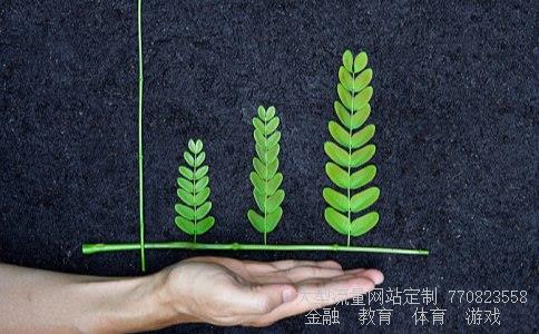 概念股票网相关图片