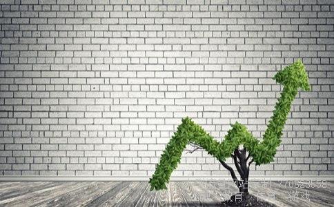 股票300104相关图片