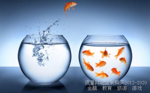 钱龙股票软件金典版怎调出静态指标分析界面?