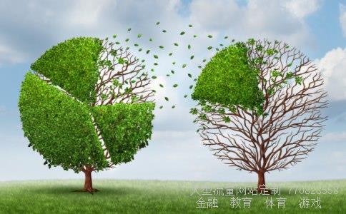 数币配资相关图片 数币配资相关图片