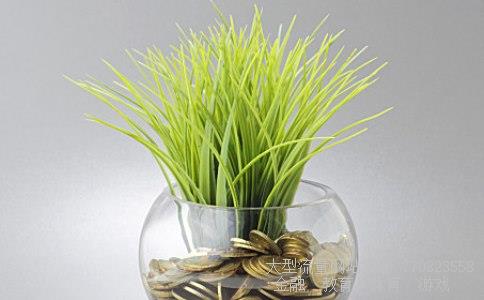 股票600621相关图片