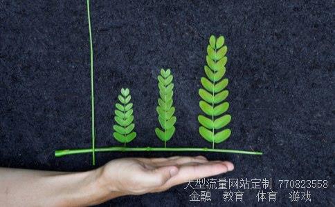 储蓄理财技巧相关图片 储蓄理财技巧相关图片