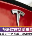 特斯拉特斯拉销量暴跌65%，会成下一个谷歌，退出中国吗？