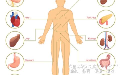 怎样登陆网上工商银行