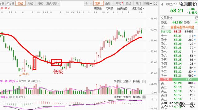 牧原股份为什么用龙头低吸会失败图