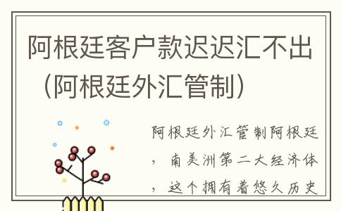阿根廷客户款迟迟汇不出（阿根廷外汇管制）