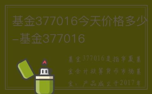 基金377016今天价格多少-基金377016