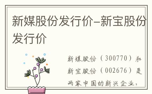 新媒股份发行价-新宝股份发行价