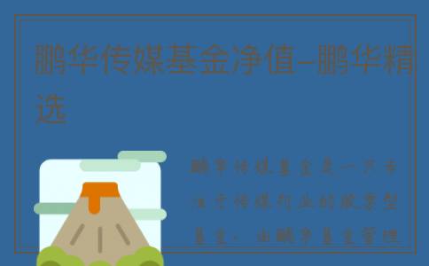 鹏华传媒基金净值-鹏华精选