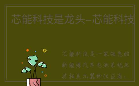 芯能科技是龙头-芯能科技