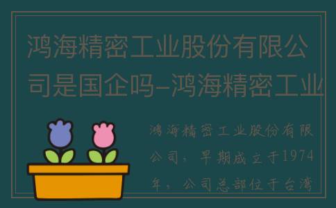 鸿海精密工业股份有限公司是国企吗-鸿海精密工业股份有限公司