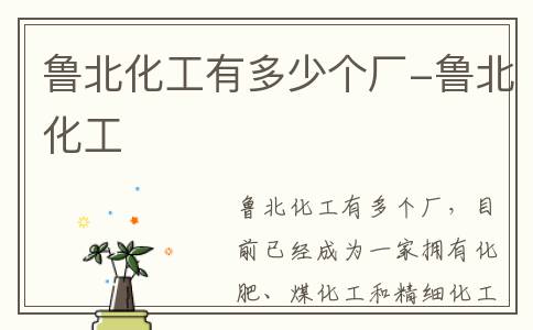 鲁北化工有多少个厂-鲁北化工