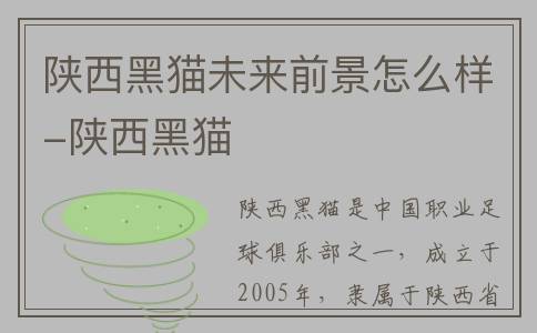 陕西黑猫未来前景怎么样-陕西黑猫