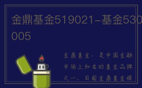 金鼎基金519021-基金530005