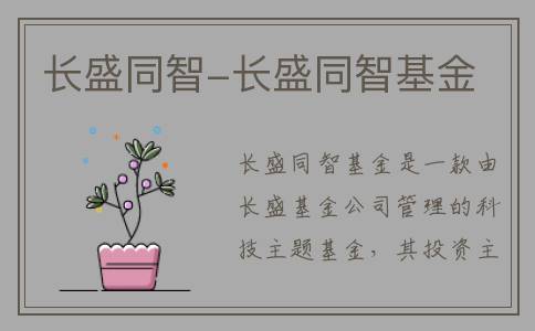 长盛同智-长盛同智基金