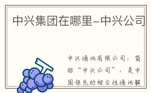 中兴集团在哪里-中兴公司