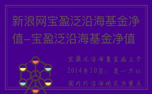 新浪网宝盈泛沿海基金净值-宝盈泛沿海基金净值