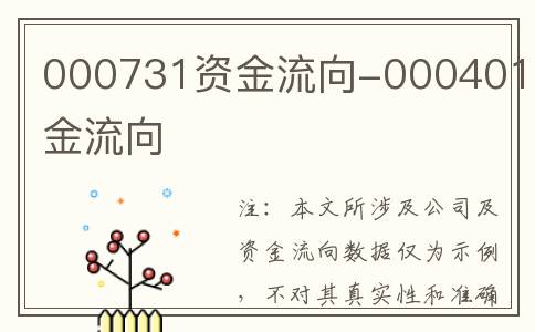 000731资金流向-000401资金流向