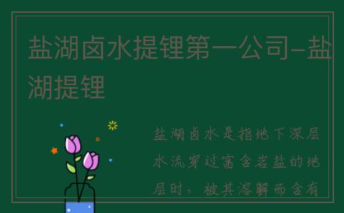 盐湖卤水提锂第一公司-盐湖提锂