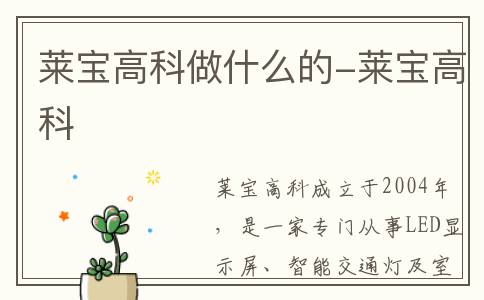 莱宝高科做什么的-莱宝高科