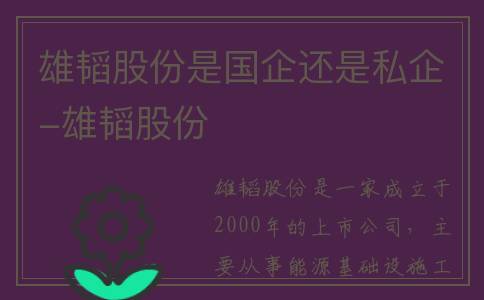 雄韬股份是国企还是私企-雄韬股份