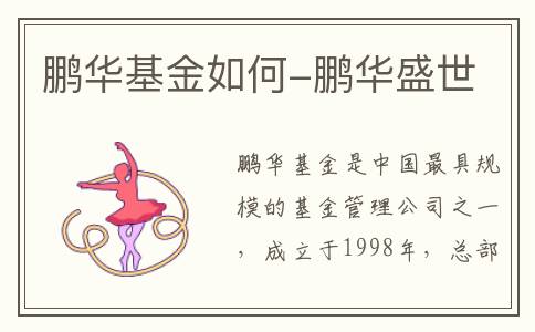 鹏华基金如何-鹏华盛世