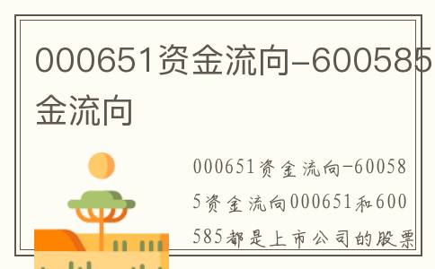 000651资金流向-600585资金流向