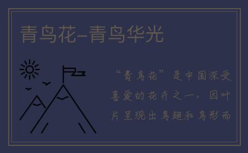 青鸟花-青鸟华光