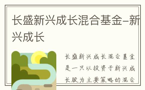 长盛新兴成长混合基金-新兴成长