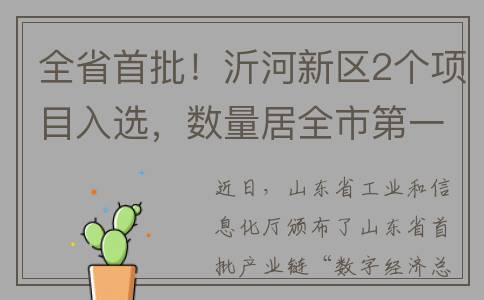 全省首批！沂河新区2个项目入选，数量居全市第一！(航拍沂河)