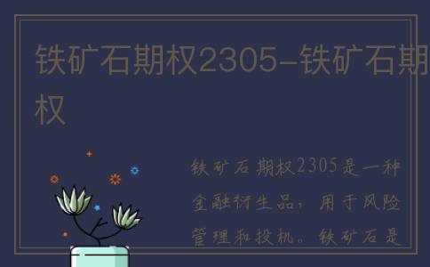 铁矿石期权2305-铁矿石期权