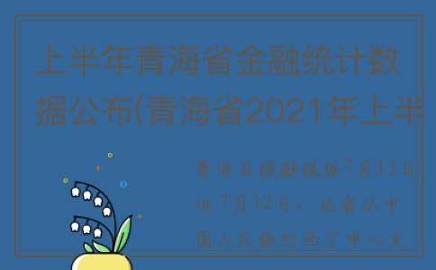 上半年青海省金融统计数据公布(青海省2021年上半年经济)