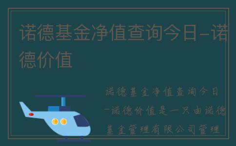 诺德基金净值查询今日-诺德价值