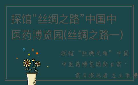 探馆“丝绸之路”中国中医药博览园(丝绸之路一)
