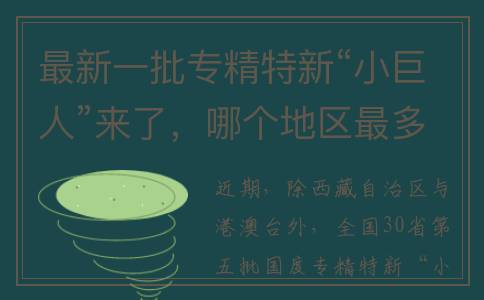 最新一批专精特新“小巨人”来了，哪个地区最多？都有哪些特点？(最新一批专精特新)