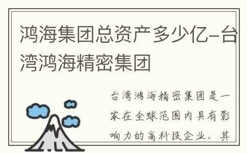 鸿海集团总资产多少亿-台湾鸿海精密集团