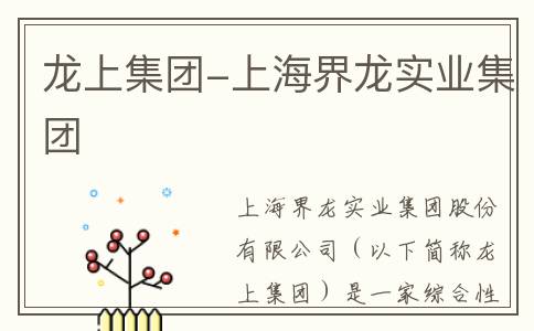 龙上集团-上海界龙实业集团