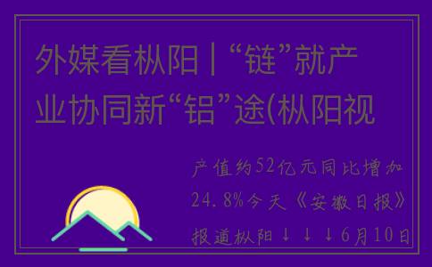 外媒看枞阳 | “链”就产业协同新“铝”途(枞阳视频)