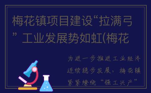 梅花镇项目建设“拉满弓” 工业发展势如虹(梅花镇项目建设招标)