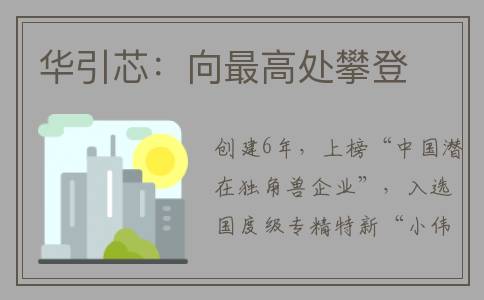 华引芯：向最高处攀登