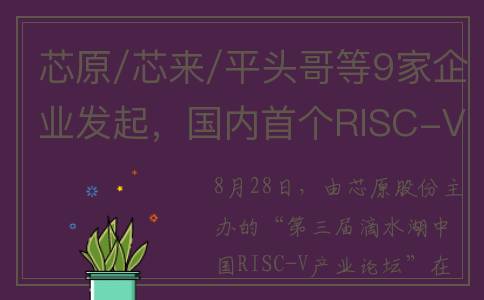 芯原/芯来/平头哥等9家企业发起，国内首个RISC-V专利联盟成立