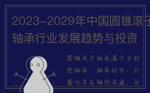 2023-2029年中国圆锥滚子轴承行业发展趋势与投资分析报告