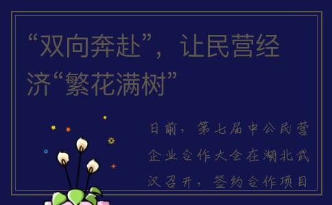 “双向奔赴”，让民营经济“繁花满树”