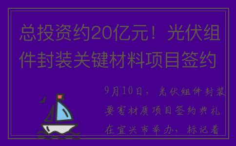总投资约20亿元！光伏组件封装关键材料项目签约(总投资2841亿元)