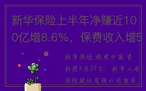 新华保险上半年净赚近100亿增8.6%，保费收入增5%(新华保险上半年投资收益率)